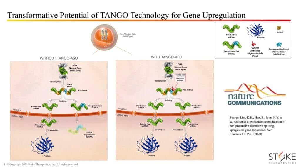 Transformative Potential of TANGO Tech.